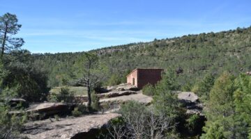 CREATOR: gd-jpeg v1.0 (using IJG JPEG v62), quality = 82