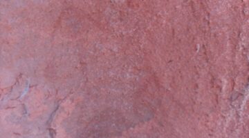 IMG_20170503_115626-2