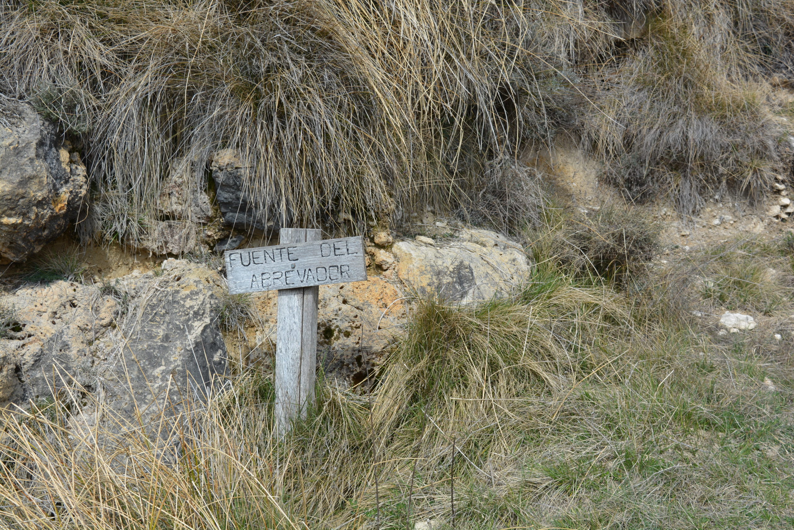 DSC_0019-scaled