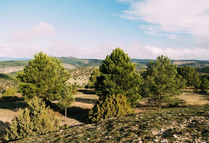 Muela-de-los-Tres-Reinos-3