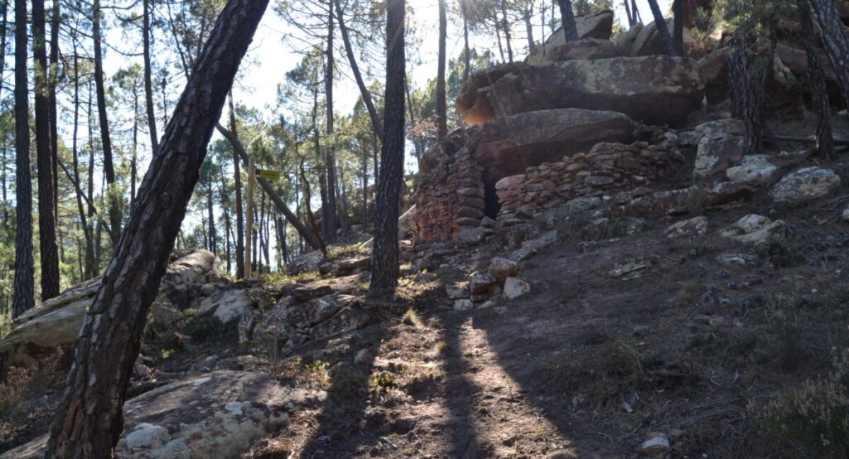 Ruta-BTT-r6-del-rodeno-12