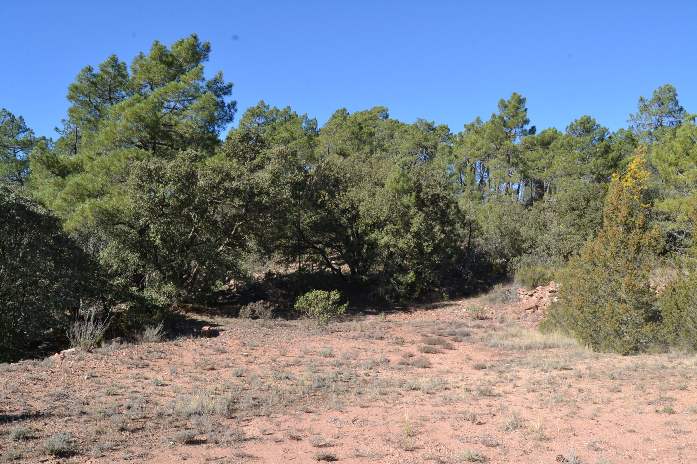 Ruta-BTT-r6-del-rodeno-13