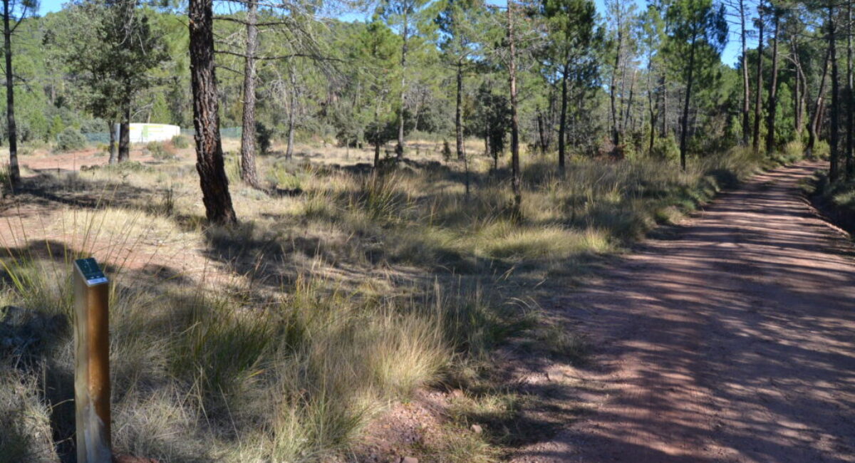 Ruta-BTT-r6-del-rodeno-14