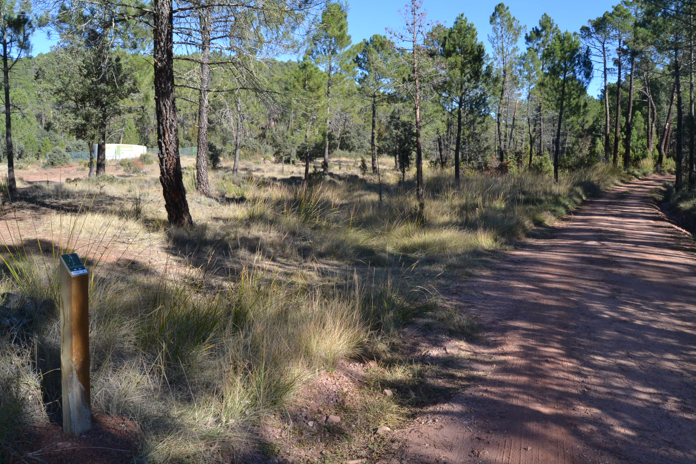 Ruta-BTT-r6-del-rodeno-14
