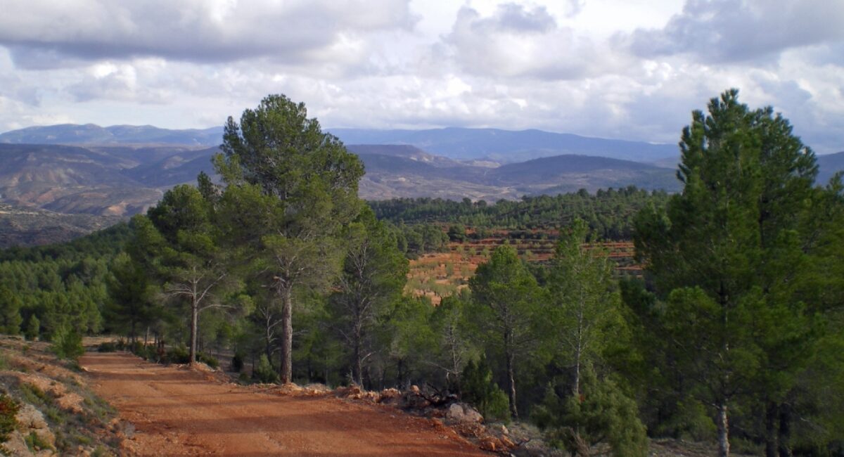 Ruta-BTT-r6-del-rodeno-17