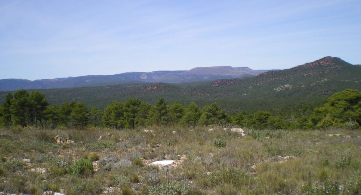 Ruta-BTT-r6-del-rodeno-18