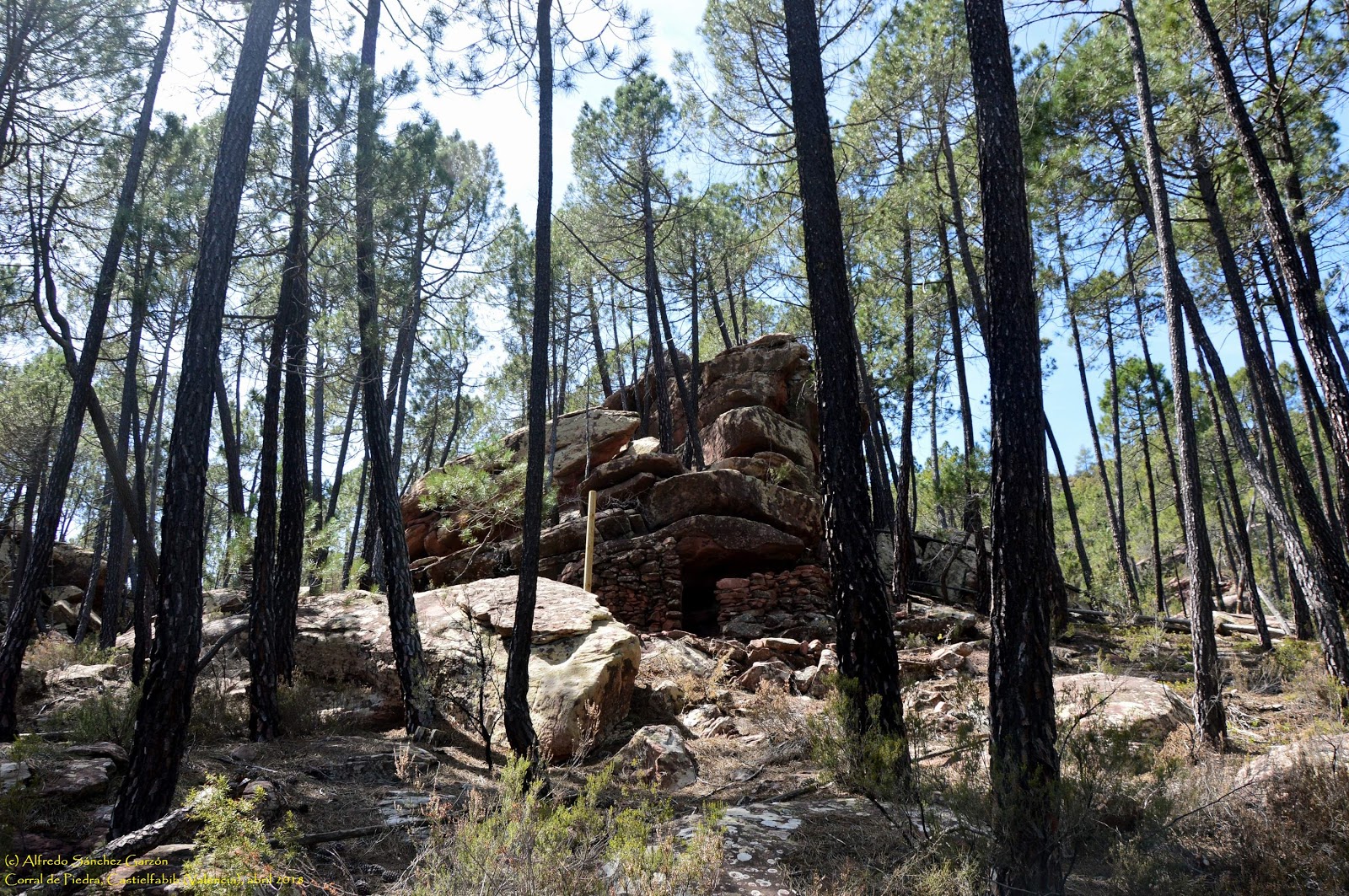 TRAMO-5-desde-Torrealta-a-Castielfabib-por-la-ruta-del-Rodeno2