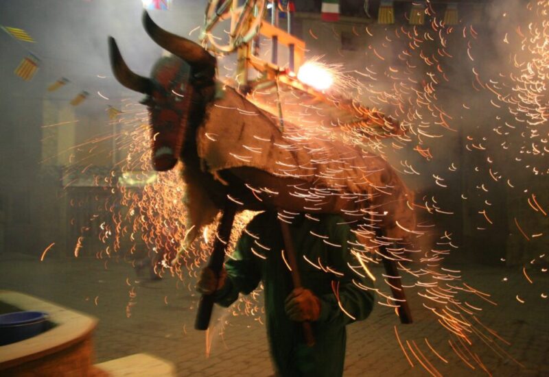 Toro-de-Fuego-anterior-2011-scaled