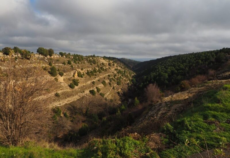 arrecifes-jurasicos-de-Arroyo-Cerezo-2