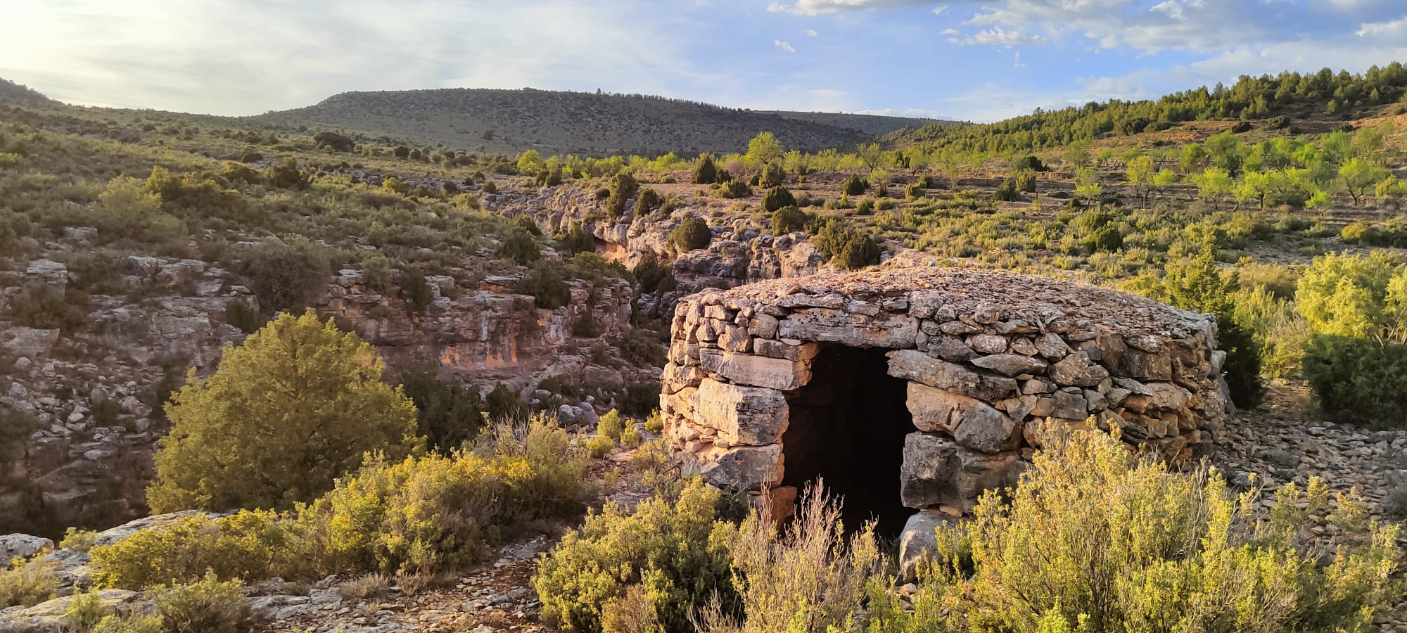 camino-del-oro-verde-12