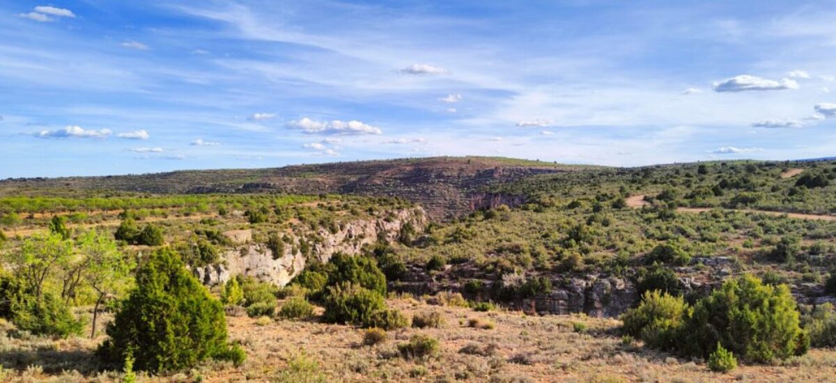 camino-del-oro-verde1