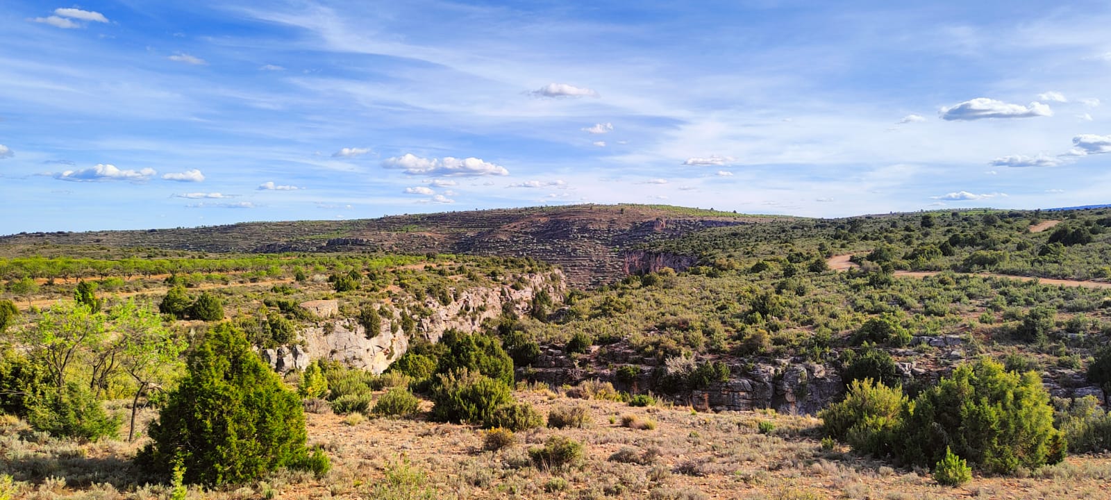 camino-del-oro-verde1