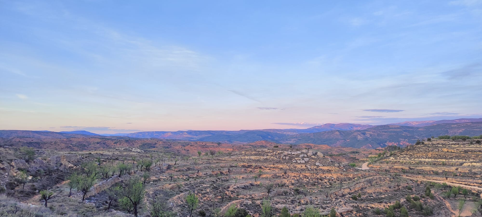 camino-del-oro-verde8