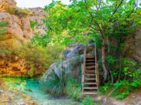 Ruta botanica del rio Ebrón en Teruel