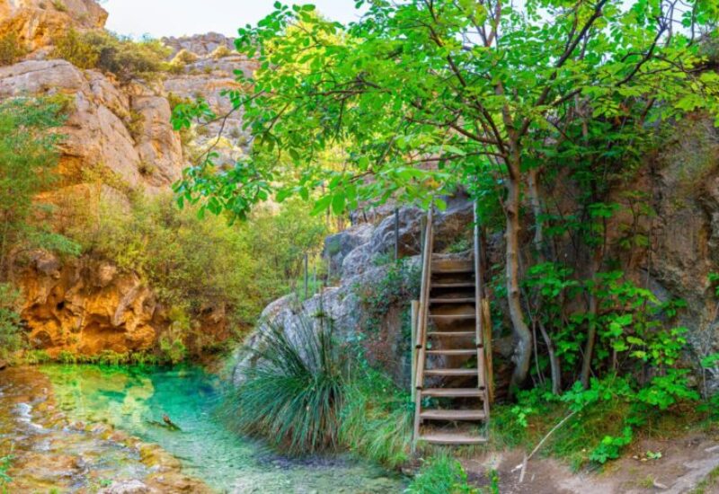 Ruta botanica del rio Ebrón en Teruel