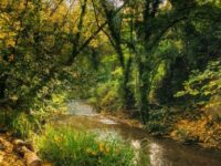 riberas-del-ebron-1
