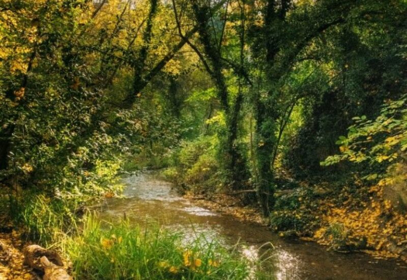 riberas-del-ebron-1