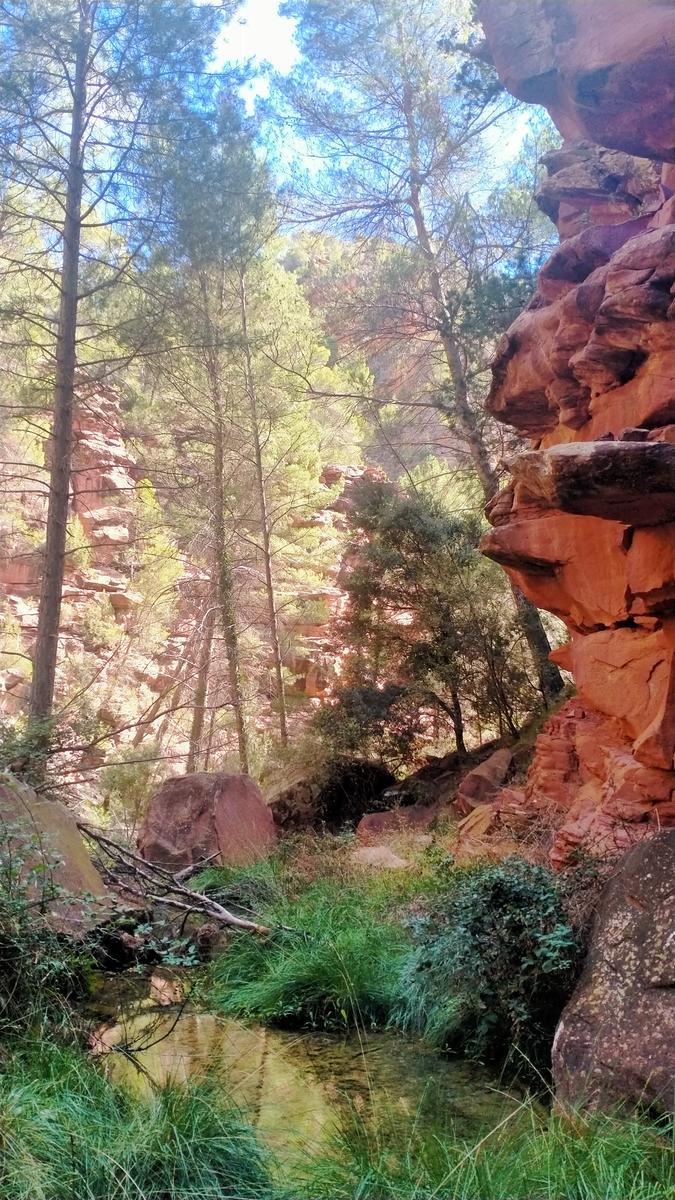 ruta-barranco-val-del-agua-mas-de-jacinto-13