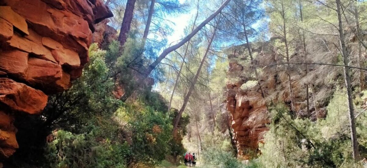 ruta-barranco-val-del-agua-mas-de-jacinto-15