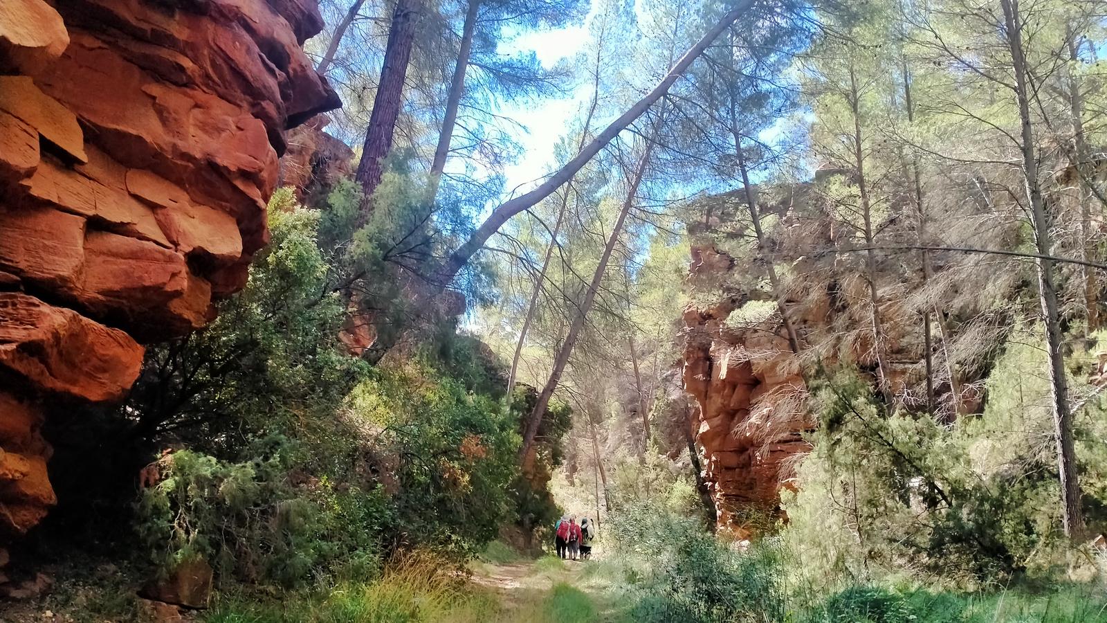 ruta-barranco-val-del-agua-mas-de-jacinto-15