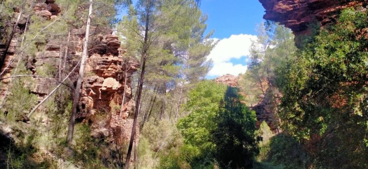 ruta-barranco-val-del-agua-mas-de-jacinto-17