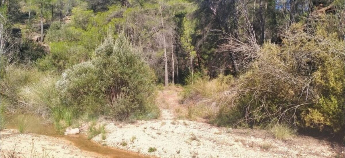 ruta-barranco-val-del-agua-mas-de-jacinto-6