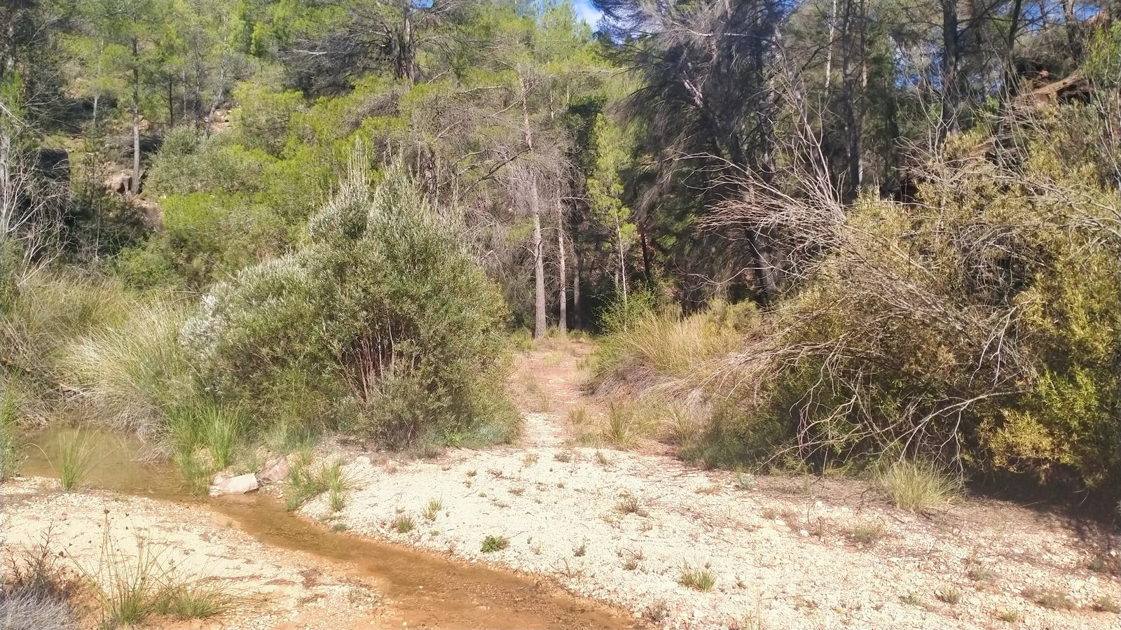 ruta-barranco-val-del-agua-mas-de-jacinto-6
