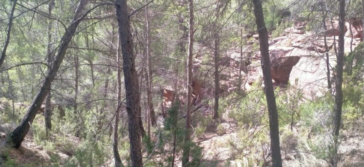 ruta-barranco-val-del-agua-mas-de-jacinto-8