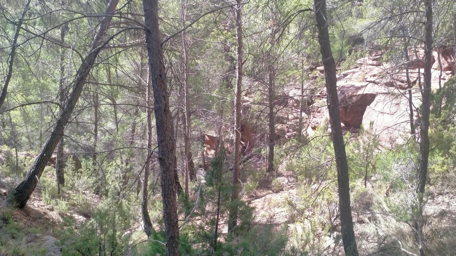 ruta-barranco-val-del-agua-mas-de-jacinto-8