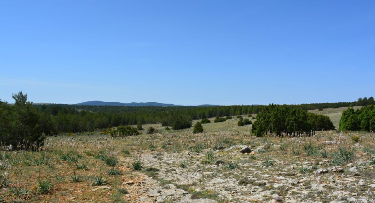 ruta-btt-cruz-de-los-3-reinos15-scaled