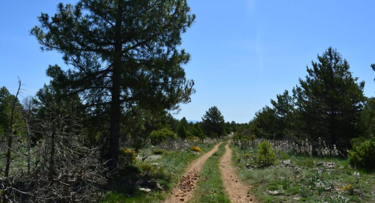 ruta-btt-cruz-de-los-3-reinos19-scaled