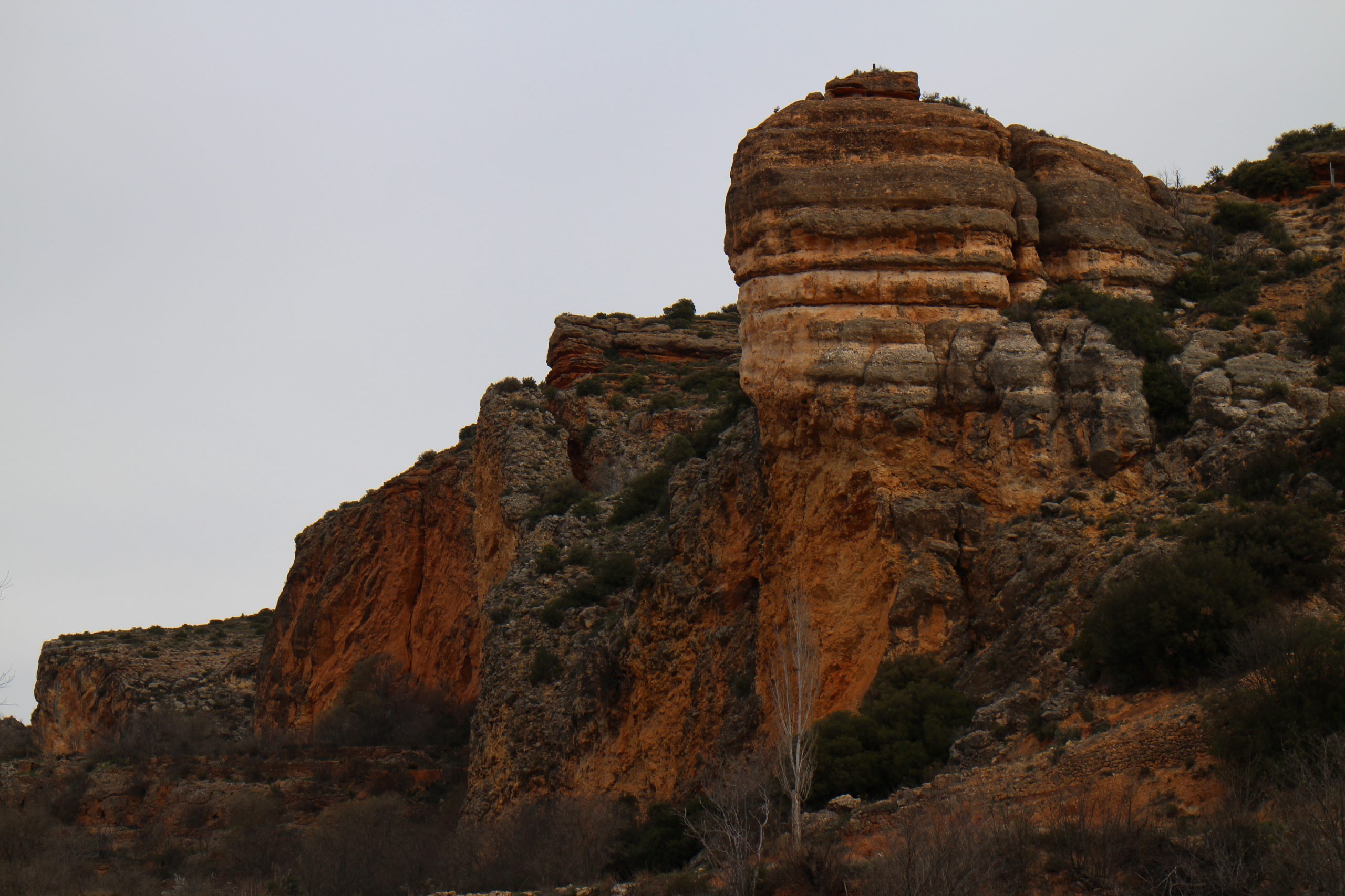 ruta-pr-cavanilles-1-scaled