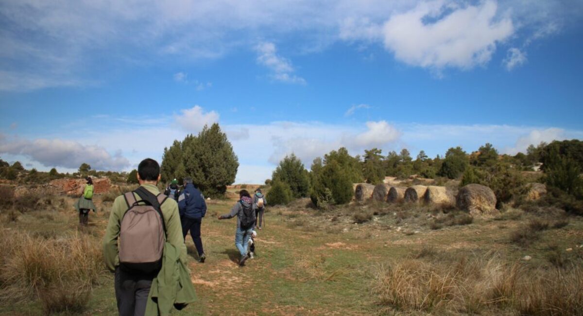 ruta-pr-cavanilles-5-scaled