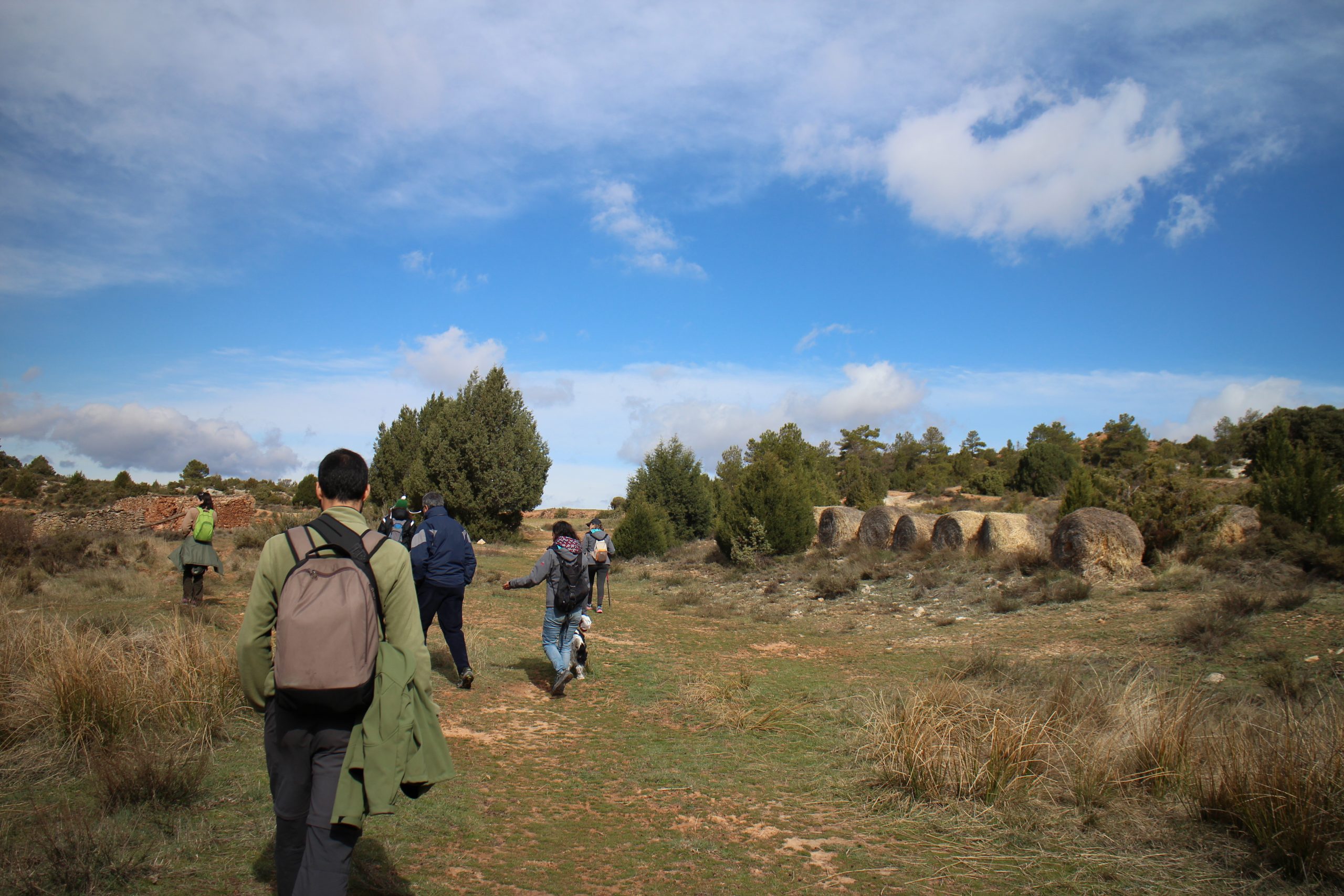 ruta-pr-cavanilles-5-scaled
