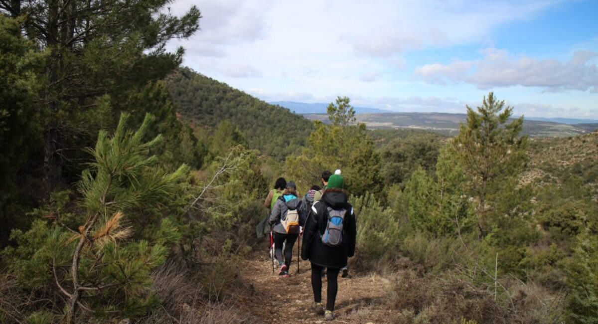 ruta-pr-cavanilles-7-scaled