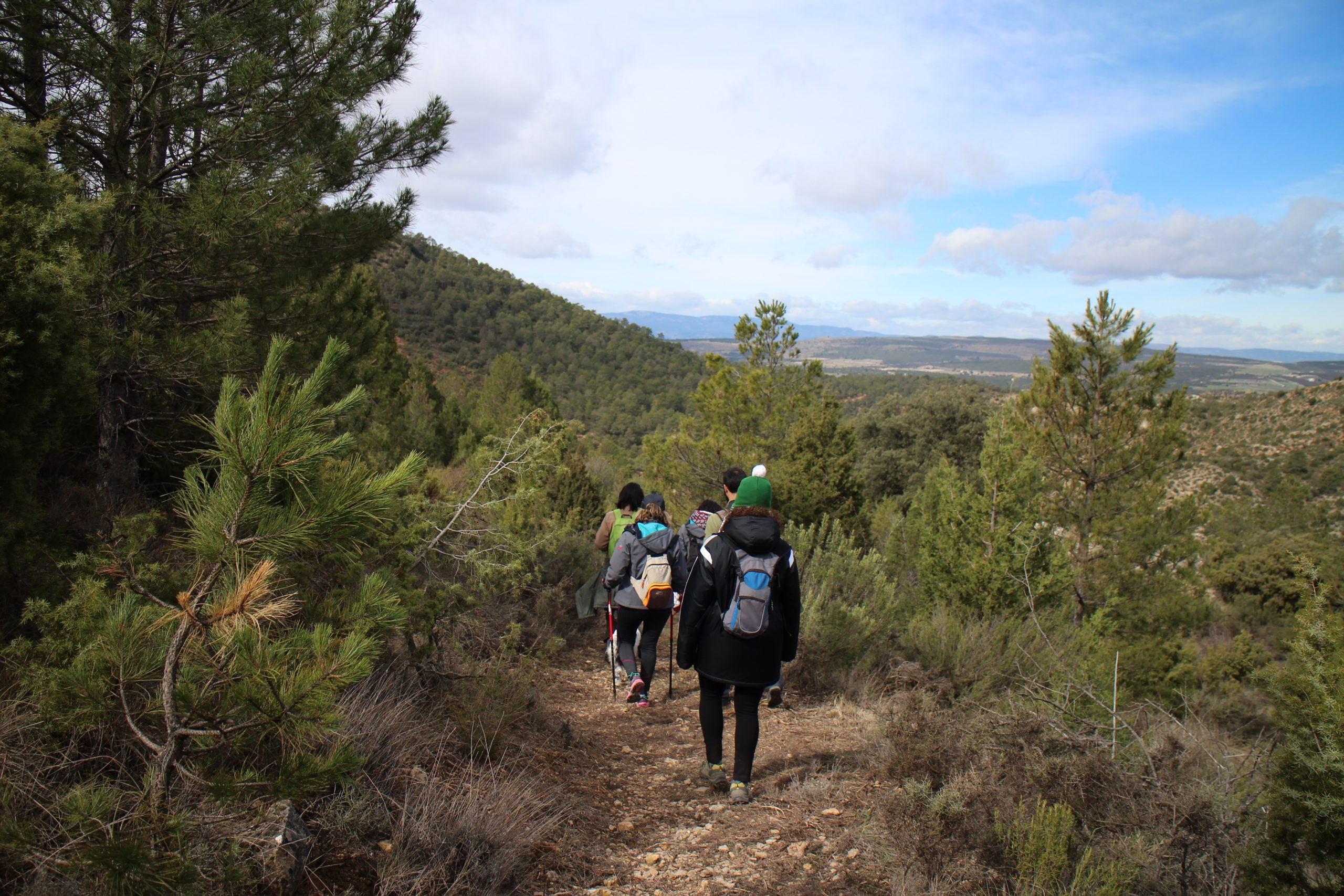 ruta-pr-cavanilles-7-scaled