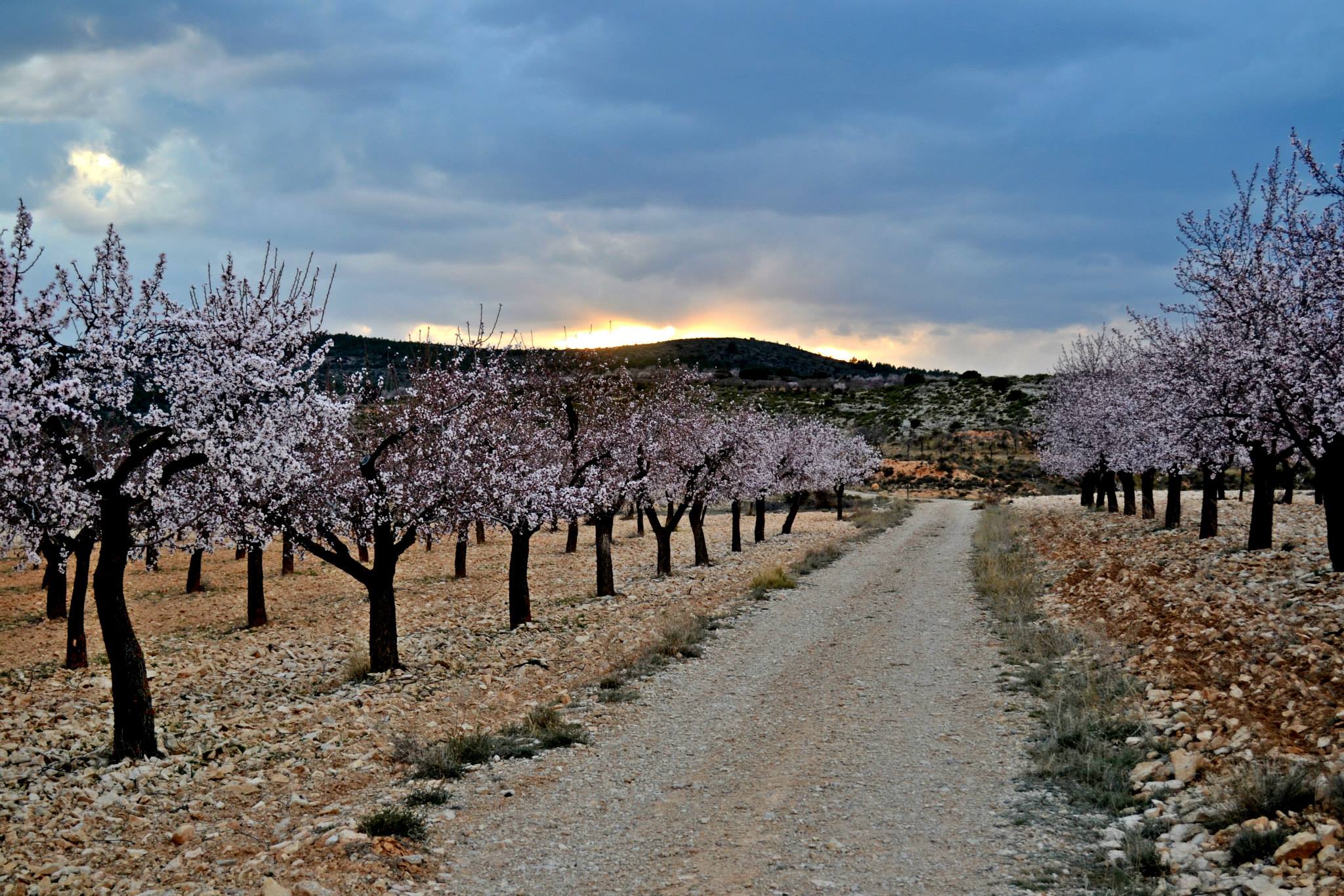 ultra-trail-Rincon-de-Ademuz-2